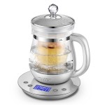 生活元素燕窩壺?zé)踔讯喙δ莛B(yǎng)生壺自動加厚玻璃家用燒水壺煮茶器