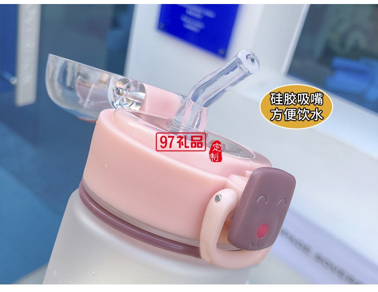 簡約磨砂塑料杯學(xué)生情侶清新個性夏天水瓶韓國ins風彈蓋隨手杯子