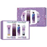 韓國(guó)LG生活健康安寶笛套裝清雅花韻