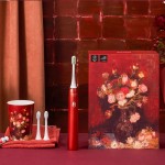 素士聲波電動(dòng)牙刷聯(lián)名款禮盒套裝