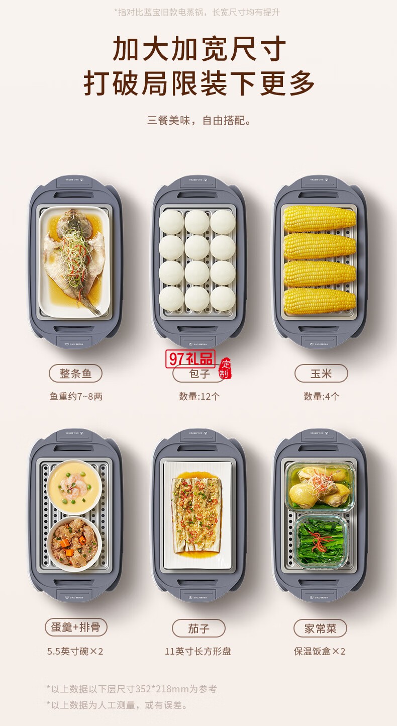 藍(lán)寶·分區(qū)電蒸鍋+雙燉盅